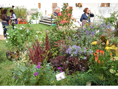 Nel giardino del Doge Manin - autunno