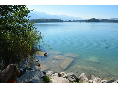 CHIUSO PER FERIE - DAL 13 AL 20 AGOSTO (COMPRESI)