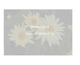Paeonia lactiflora Sarah Bernhardt
