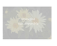 Stokesia laevis Omega Skyrocket