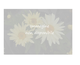 Coreopsis Garnet ®