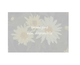 Rosa Deborah Meillandecor
